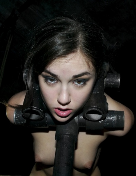 Sasha Grey exclusive star pic